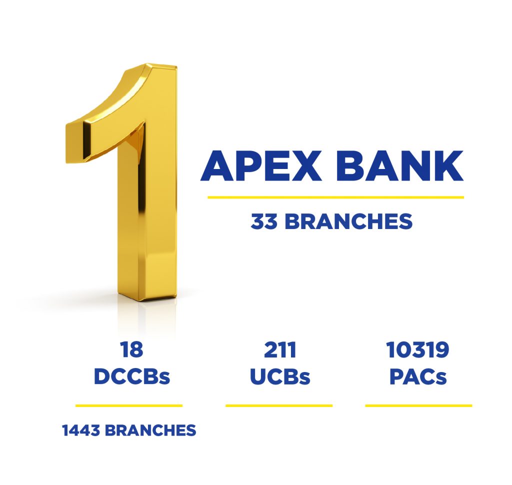 1 APEX BANK-01