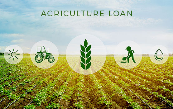 01_Agriculture Loan_555x350